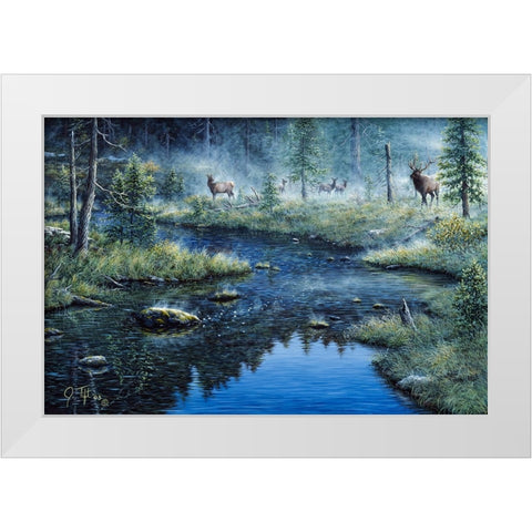 Misty Morning White Modern Wood Framed Art Print by Tift, Jeff