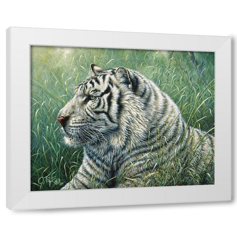 White Tiger White Modern Wood Framed Art Print by Tift, Jeff