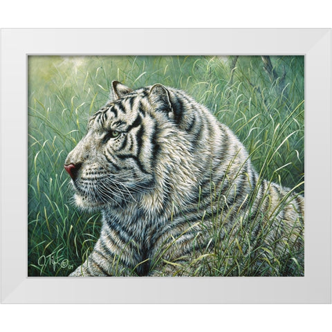 White Tiger White Modern Wood Framed Art Print by Tift, Jeff