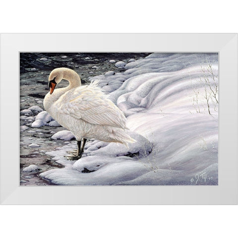 Edge Of Light - Mute Swan White Modern Wood Framed Art Print by Tift, Jeff