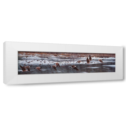 Along The Waterfront White Modern Wood Framed Art Print by Tift, Jeff