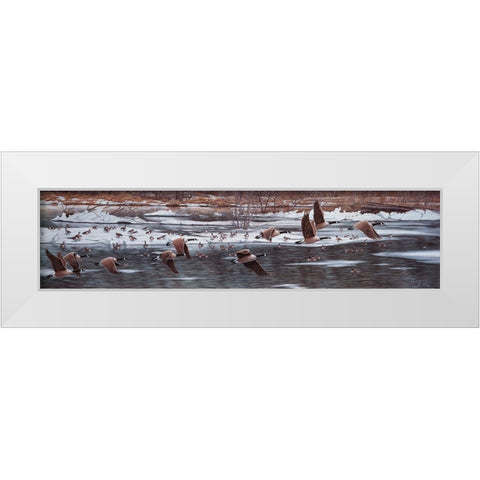 Along The Waterfront White Modern Wood Framed Art Print by Tift, Jeff