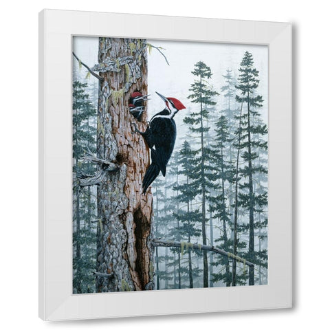 Piliated Woodpeckers White Modern Wood Framed Art Print by Tift, Jeff