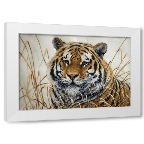 Tiger White Modern Wood Framed Art Print by Tift, Jeff