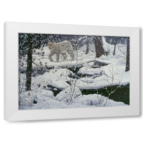 Canadian Lynx And Snowshoe Hare White Modern Wood Framed Art Print by Tift, Jeff