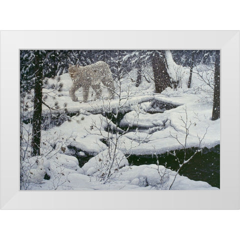 Canadian Lynx And Snowshoe Hare White Modern Wood Framed Art Print by Tift, Jeff