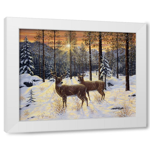 Evening Silence White Modern Wood Framed Art Print by Tift, Jeff