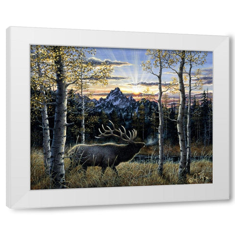 Dawn Of Light White Modern Wood Framed Art Print by Tift, Jeff