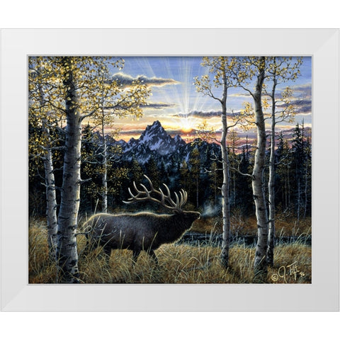 Dawn Of Light White Modern Wood Framed Art Print by Tift, Jeff