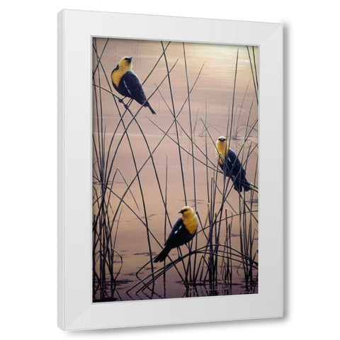 Yellow Headed B Birds White Modern Wood Framed Art Print by Tift, Jeff
