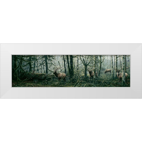 Enchanted Forest White Modern Wood Framed Art Print by Tift, Jeff