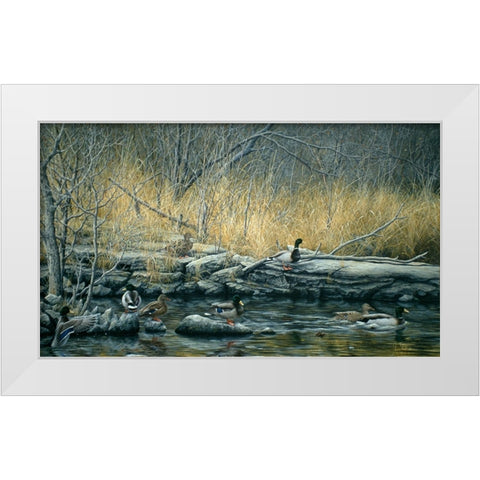 Early Morning Mallards White Modern Wood Framed Art Print by Tift, Jeff