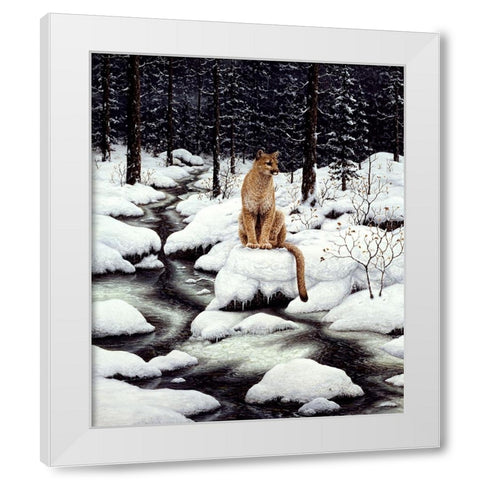 Cougar White Modern Wood Framed Art Print by Tift, Jeff