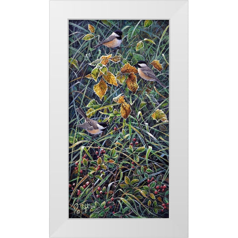 Chickadee 2 White Modern Wood Framed Art Print by Tift, Jeff