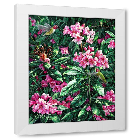 Annas And Rhodies White Modern Wood Framed Art Print by Tift, Jeff