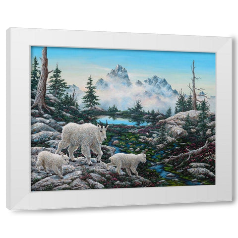 Alpine Country White Modern Wood Framed Art Print by Tift, Jeff