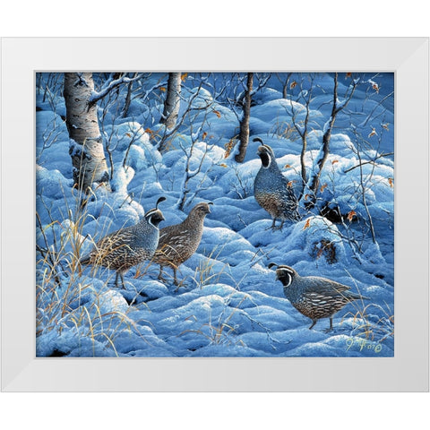 Winter Covey White Modern Wood Framed Art Print by Tift, Jeff