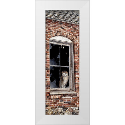 The Look Out White Modern Wood Framed Art Print by Tift, Jeff