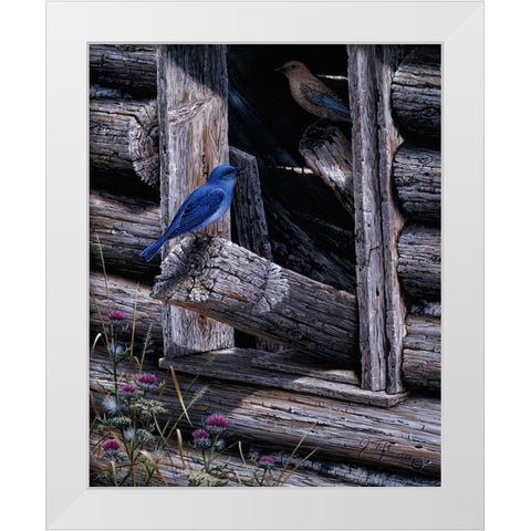 Meeting Place White Modern Wood Framed Art Print by Tift, Jeff