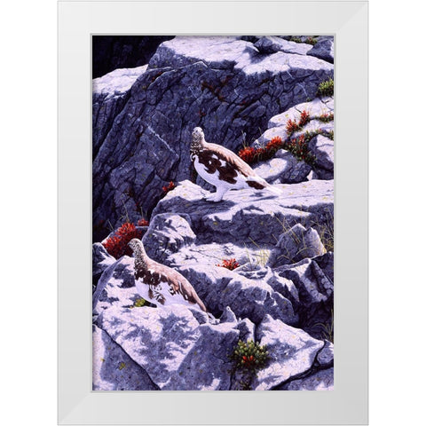 White-Tailed Ptarmigan White Modern Wood Framed Art Print by Tift, Jeff