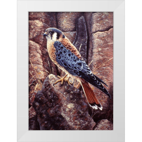 Kestral White Modern Wood Framed Art Print by Tift, Jeff