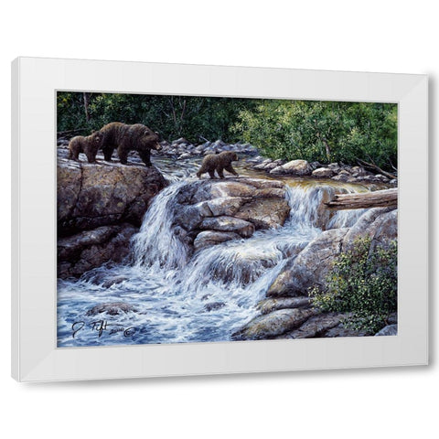 Entiat Falls-Grizzly Family White Modern Wood Framed Art Print by Tift, Jeff