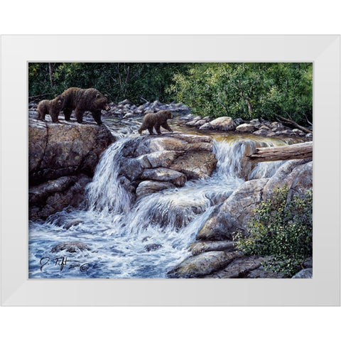 Entiat Falls-Grizzly Family White Modern Wood Framed Art Print by Tift, Jeff