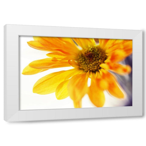 A Little Bit Sun in the Cold Time White Modern Wood Framed Art Print by Jenny Rainbow Fine Art