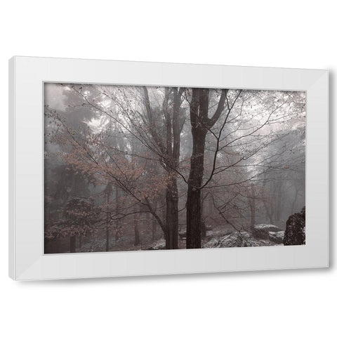 Always Together In Joy And Sorrow White Modern Wood Framed Art Print by Jenny Rainbow Fine Art