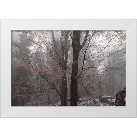Always Together In Joy And Sorrow White Modern Wood Framed Art Print by Jenny Rainbow Fine Art