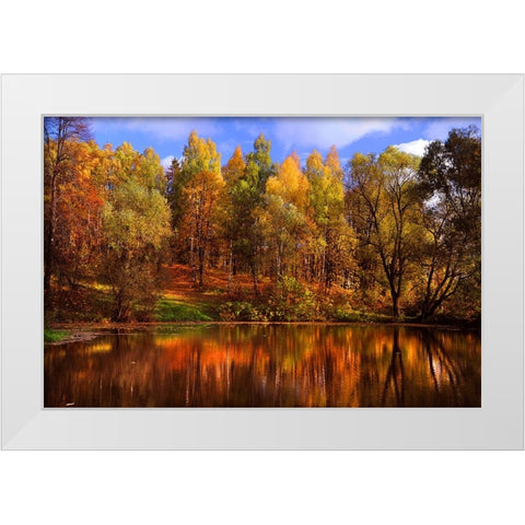 Autumn Reflections White Modern Wood Framed Art Print by Jenny Rainbow Fine Art