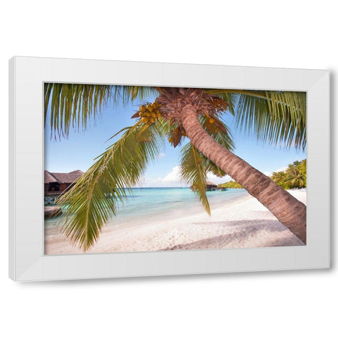 Bowed Palm White Modern Wood Framed Art Print by Jenny Rainbow Fine Art