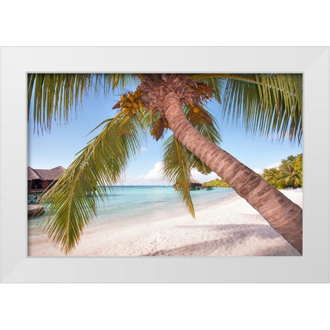 Bowed Palm White Modern Wood Framed Art Print by Jenny Rainbow Fine Art