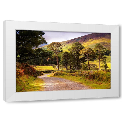 Celtic Spirit in Wicklow Mountains Ireland White Modern Wood Framed Art Print by Jenny Rainbow Fine Art