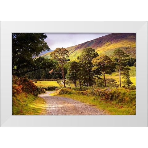 Celtic Spirit in Wicklow Mountains Ireland White Modern Wood Framed Art Print by Jenny Rainbow Fine Art