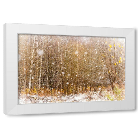 First Snowflakes White Modern Wood Framed Art Print by Jenny Rainbow Fine Art