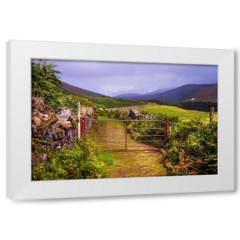 Gates on the Road at Wicklow Hills Ireland White Modern Wood Framed Art Print by Jenny Rainbow Fine Art