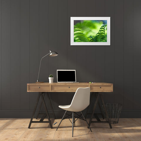 Healing Art Fern Leaves White Modern Wood Framed Art Print by Jenny Rainbow Fine Art