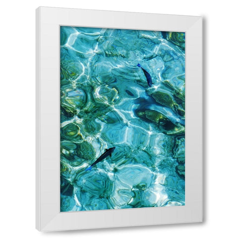 Maldives Fishes in the Clear Water 2 White Modern Wood Framed Art Print by Jenny Rainbow Fine Art