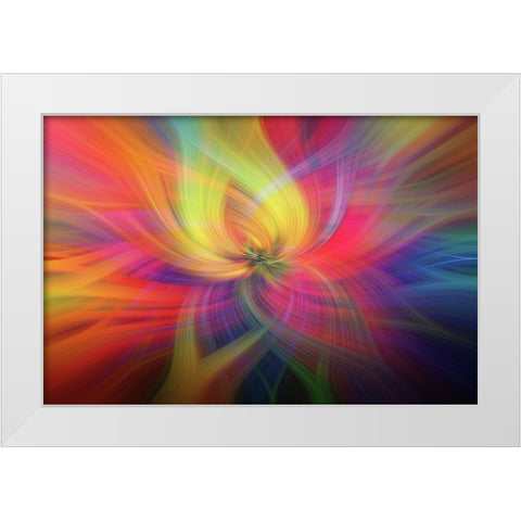 Mystery of Colors Rainbow Flower White Modern Wood Framed Art Print by Jenny Rainbow Fine Art