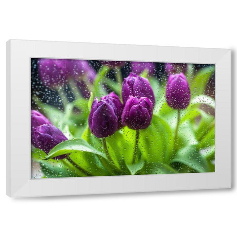 Purple Tulips in Rain White Modern Wood Framed Art Print by Jenny Rainbow Fine Art