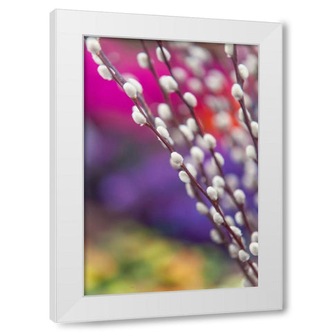 Spring Willow Branch White Modern Wood Framed Art Print by Jenny Rainbow Fine Art