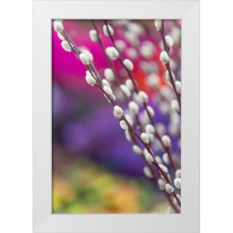 Spring Willow Branch White Modern Wood Framed Art Print by Jenny Rainbow Fine Art