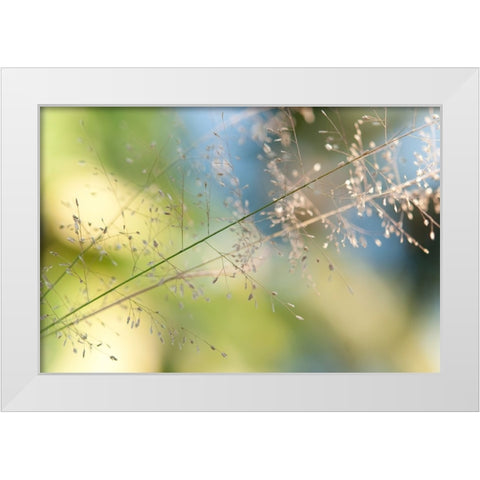 The Beauty of the Earth White Modern Wood Framed Art Print by Jenny Rainbow Fine Art