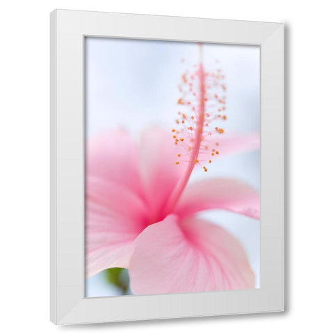 Invitation Into the Light White Modern Wood Framed Art Print by Jenny Rainbow Fine Art