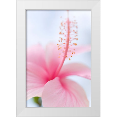 Invitation Into the Light White Modern Wood Framed Art Print by Jenny Rainbow Fine Art