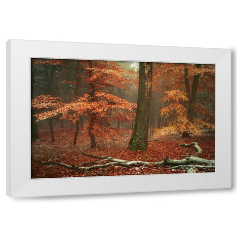 Magic of Fall Woods White Modern Wood Framed Art Print by Jenny Rainbow Fine Art