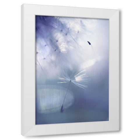 Mr Dandelion Light Flight White Modern Wood Framed Art Print by Jenny Rainbow Fine Art