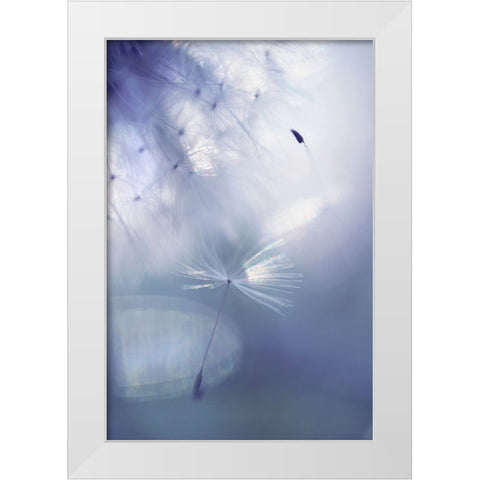 Mr Dandelion Light Flight White Modern Wood Framed Art Print by Jenny Rainbow Fine Art