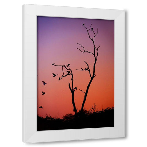 Mysterious Sunset White Modern Wood Framed Art Print by Jenny Rainbow Fine Art